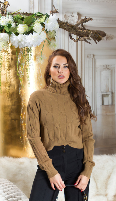 Musthave Knit Sweater with Turtleneck Brown
